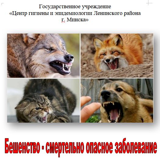 Посмотреть через вьювер